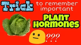 Trick to remember important Plant Hormones I by BioTrickoLogy