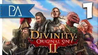 OUR ADVENTURE BEGINS - Let's Play - Divinity: Original Sin 2 - Part 1