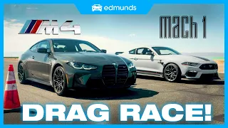 Drag Race! Ford Mustang vs. BMW M4 | V8 vs. Turbo I6 | Price, 0-60, Performance & More