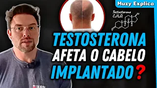 Uso de TESTOSTERONA causa QUEDA DE CABELO IMPLANTADO também? | Muzy Explica