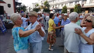 Белой Акации Гроздья Душистые!