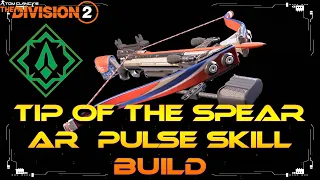 Tip Of The Spear Hybrid AR Build Pulse Hive Bleed Damage Skill Build Insane!!! DPS The Division 2