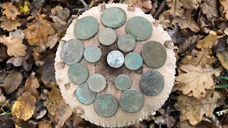 Багато старих монет! Схрон солдата. Коп монет на полях / Нашел клад  монет в лесу. Коп по войне