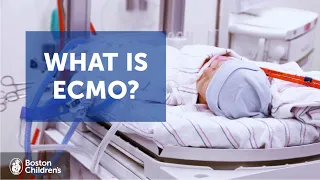 What is ECMO? | Boston Children's Hospital