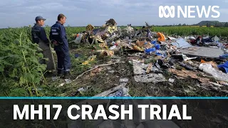 MH17 trial hears Russia engaged in 'textbook' misinformation campaign  over crash | ABC News