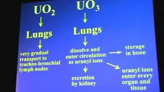 Dr. Thomas Fasy -  Depleted Uranium Weapons