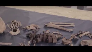 Zaskakujące odkrycia archeologiczne podczas remontu Kossakówki