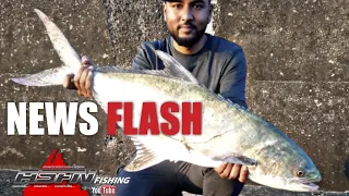 Fishing South Africa | ASFN News Flash