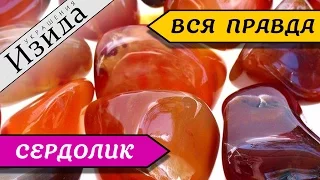 СЕРДОЛИК: РАДУЮЩИЙ СЕРДЦЕ