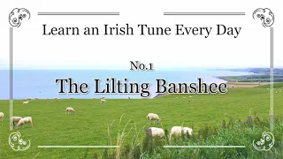 001 The Lilting Banshee (Double Jig, A Dorian) Learn an Irish Tune Every Day.