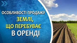 Особливості продажу землі, що перебуває в оренді