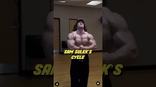 Sam Sulek’s Cycle 💪🏼