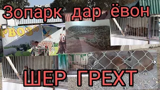 ЗОПАРК ДАР НОХИЯИ ЕВОН шер ай клетка грехт