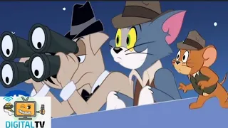 Tom & Jerry | A Spy Quest