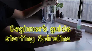 Step-by-step guide to starting your Spirulina culture