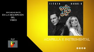 Tiesto & Karol G - Don’t Be Shy (Instrumental Studio) (Acapella) Descargar Gratis Free Download