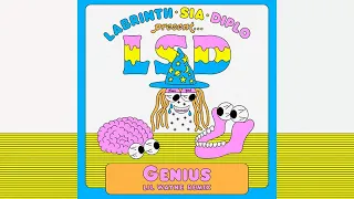 LSD - Genius (feat. Lil Wayne) [Extended Mix]