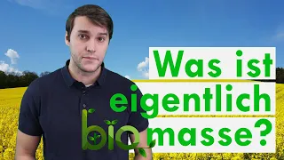 Ist Biomasse die beste Öko-Energieform? - Klimawissen kurz&bündig