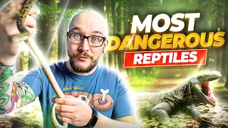 The 5 Most Dangerous Reptiles In The World!