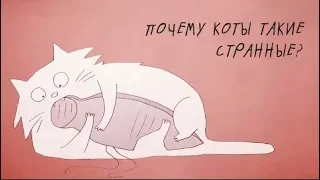 Почему кошки такие странные? [TED-Ed]