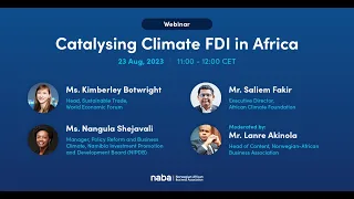 Catalysing Climate FDI in Africa