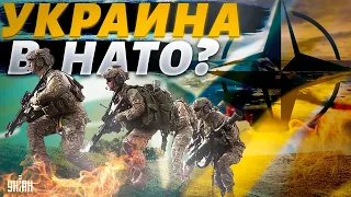 Украина в НАТО и ЕС до конца войны: в США заговорили о "немецком" пути для Киева
