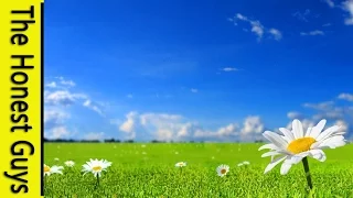 GUIDED MEDITATION - "The Summer Meadow"