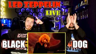 LED ZEPPELIN - BLACK DOG (Live at Celebration Day) | FIRST TIME REACTION