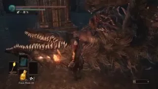 [Dark Souls 3] How To Befriend Sulyvahn's Beasts