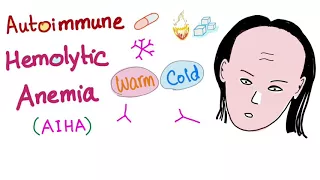 Autoimmune Hemolytic Anemia; warm autoantibodies