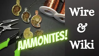 Ep.4 Sloped back setting for cut and polished Ammonites with a reading about Ammonoidea and Ammolite