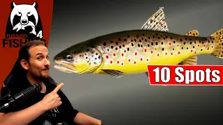 Russian Fishing 4 - Belaja - Die 10 Besten Spots