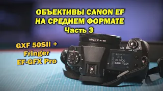 Fujifilm GFX 50S II + Fringer EF-GFX Pro:  тест объективов Canon EF на среднем формате