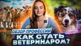 Профессия ветеринар 🐈 : где учиться, сколько можно зарабатывать, ПЛЮСЫ и МИНУСЫ профессии