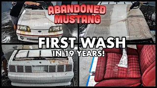 Abandoned BARN FIND 1987 Ford Mustang | First Wash In 19 Years |  Car Detailing Restoration How To!