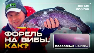 Денис Вихров раскрывает тонкости ловли форели на вибы. ПОДВОДНАЯ СЪЁМКА!