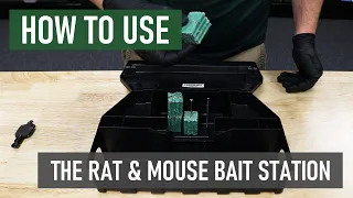 How to Use a Rat & Mouse Bait Station | DIY Rodent Control