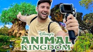 DISNEY'S ANIMAL KINGDOM A DISNEY WORLD 🦁