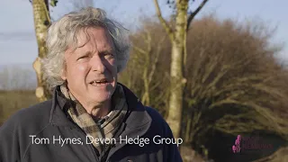 Part 1 - Devon hedges, Tom Hynes, Devon Hedge Group