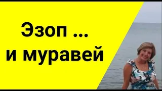 ГРЕЧЕСКИЙ ЯЗЫК С МАРИЕЙ КЕФАЛИДУ!  Эзоп ... и муравей