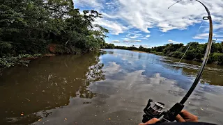 SÓ SAIU PEIXE BRUTO NESSA PESCARIA ,CEVA DO TABLADO !!! ISCA MATADEIRA