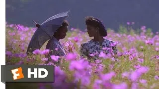 The Color Purple (5/6) Movie CLIP - God Loves Admiration (1985) HD