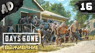 ОРДА НА ЗАПРАВКЕ Прохождение Days Gone Жизнь После на Русском #16