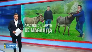 Ferma Magaritelor - lapte CRUD de magarita medicament