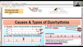 TA7 CVS PHARMACOLOGY STORM 1 (FOR UNDERGRADUATES)