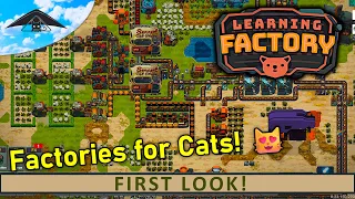 Factories for Cats!! 😻 | Learning Factory - First Look