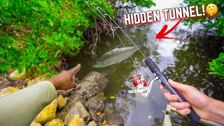 Fishing HIDDEN MANGROVE TUNNELS for AGGRESSIVE FISH!!