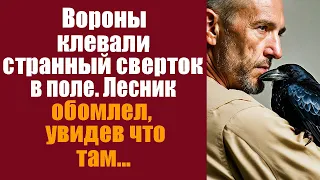 Вороны клевали странный сверток в поле. Лесник обомлел, увидев, что там...