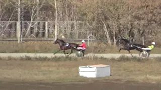 Приз в Честь работников сельского хозяйства 14 10 2017