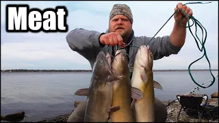 Fall Catfishing from the Bank with SMELLY Baits (Meat Fishing)